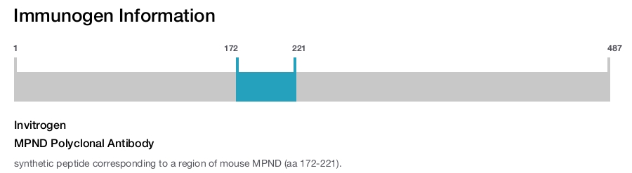 MPND Polyclonal Antibody