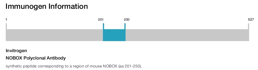 NOBOX Polyclonal Antibody