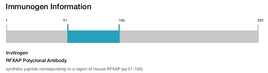 RFXAP Polyclonal Antibody