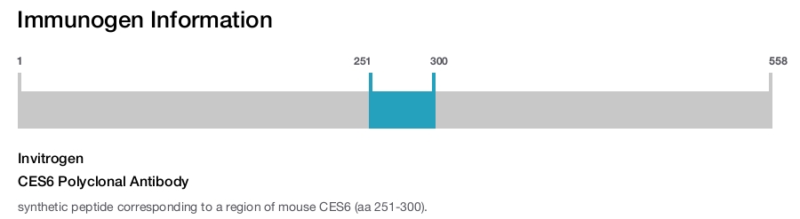 CES6 Polyclonal Antibody