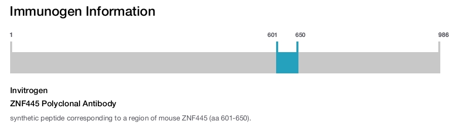 ZNF445 Polyclonal Antibody