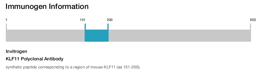 KLF11 Polyclonal Antibody