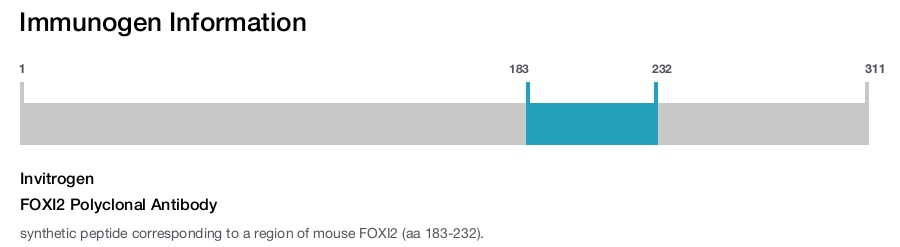 FOXI2 Polyclonal Antibody