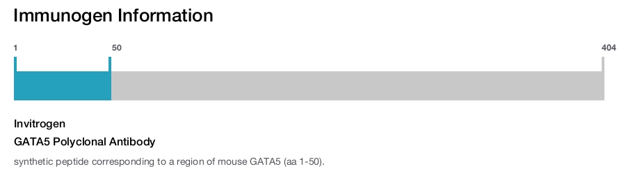 GATA5 Polyclonal Antibody