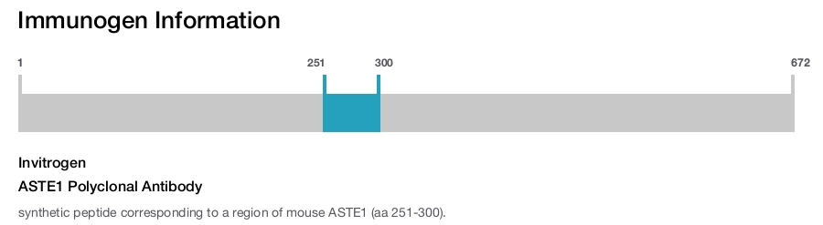 ASTE1 Polyclonal Antibody