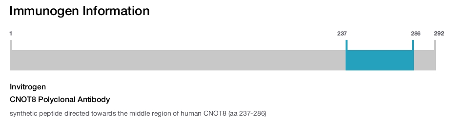 CNOT8 Polyclonal Antibody
