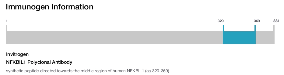 NFKBIL1 Polyclonal Antibody
