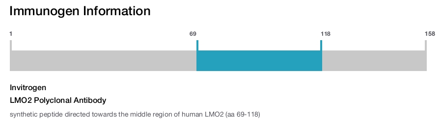 LMO2 Polyclonal Antibody