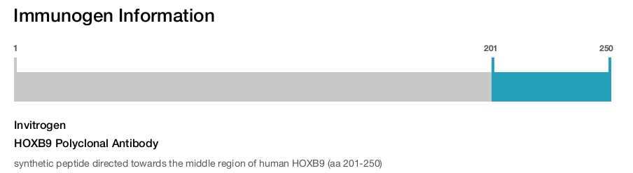 HOXB9 Polyclonal Antibody