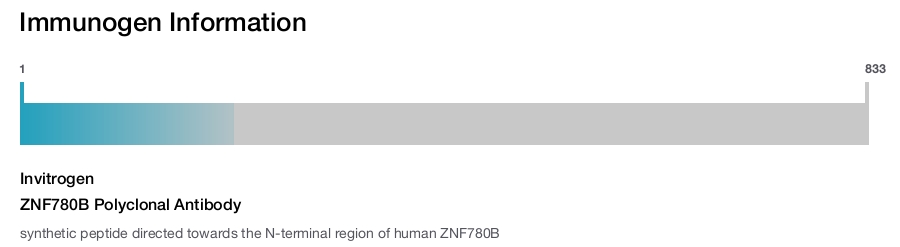 ZNF780B Polyclonal Antibody
