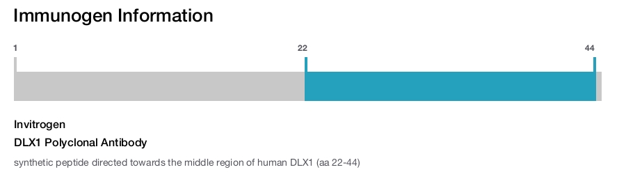DLX1 Polyclonal Antibody