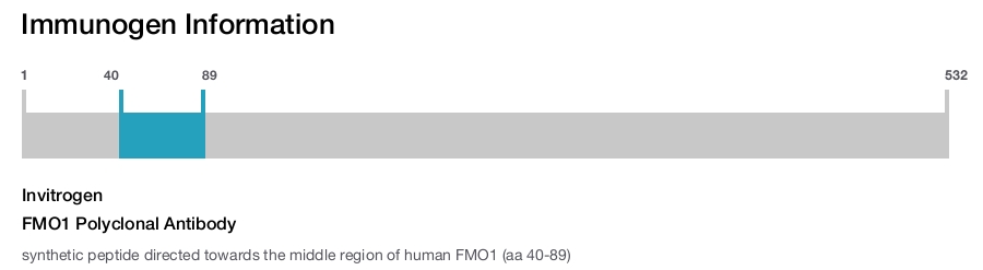 FMO1 Polyclonal Antibody