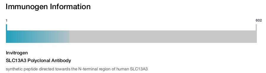 SLC13A3 Polyclonal Antibody