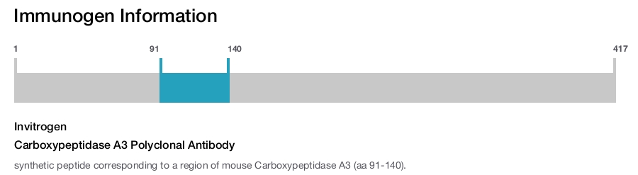 Carboxypeptidase A3 Polyclonal Antibody
