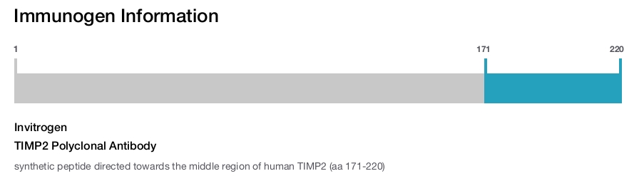 TIMP2 Polyclonal Antibody