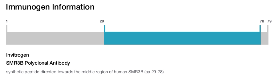 SMR3B Polyclonal Antibody