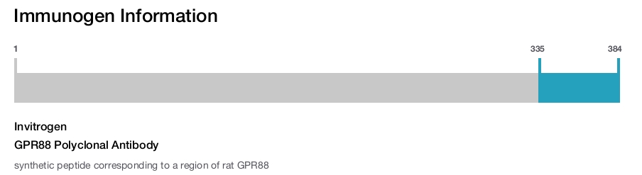 GPR88 Polyclonal Antibody