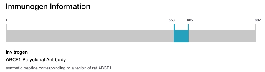 ABCF1 Polyclonal Antibody