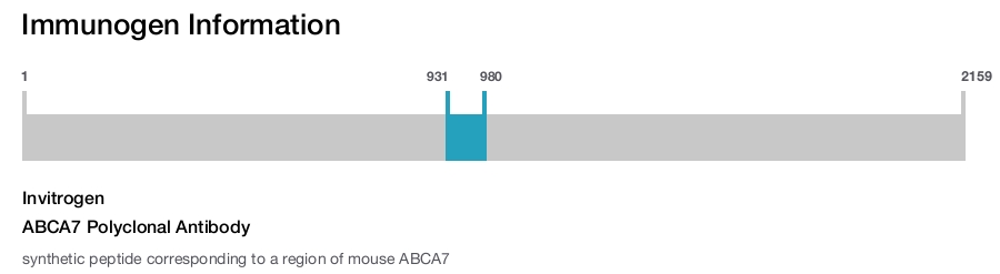 ABCA7 Polyclonal Antibody