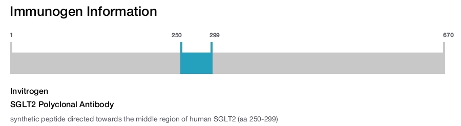 SGLT2 Polyclonal Antibody