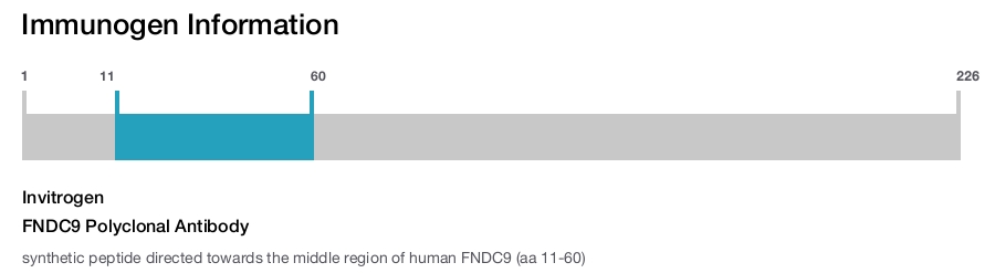 FNDC9 Polyclonal Antibody