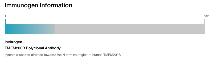 TMEM200B Polyclonal Antibody