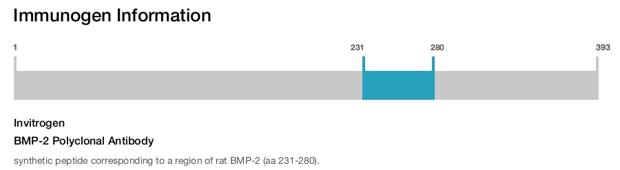 BMP-2 Polyclonal Antibody
