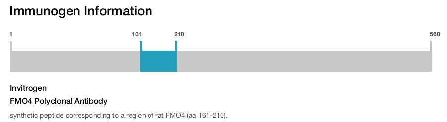 FMO4 Polyclonal Antibody