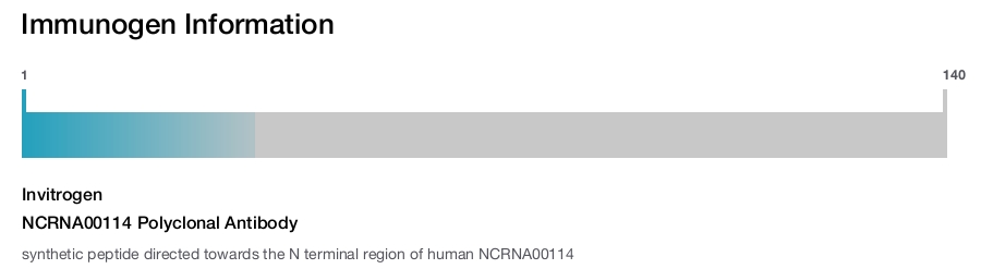 NCRNA00114 Polyclonal Antibody