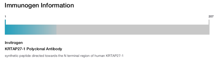 KRTAP27-1 Polyclonal Antibody