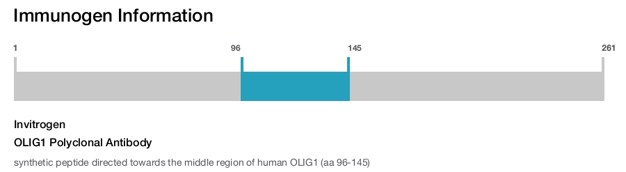 OLIG1 Polyclonal Antibody
