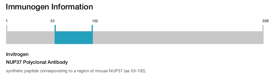 NUP37 Polyclonal Antibody