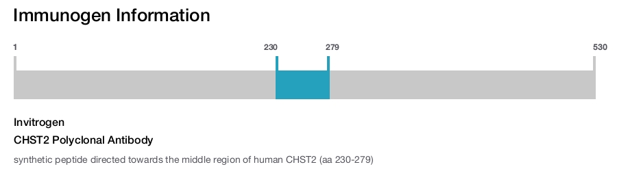 CHST2 Polyclonal Antibody