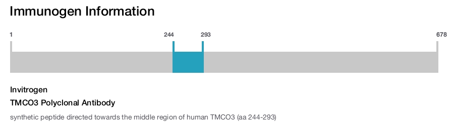 TMCO3 Polyclonal Antibody