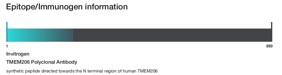 TMEM206 Polyclonal Antibody