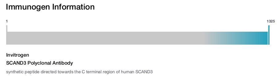 SCAND3 Polyclonal Antibody