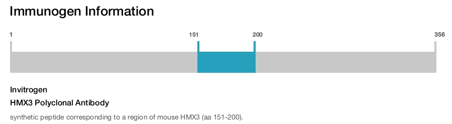 HMX3 Polyclonal Antibody