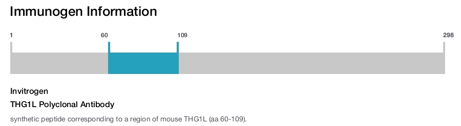 THG1L Polyclonal Antibody