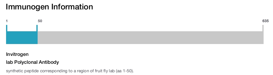 lab Polyclonal Antibody