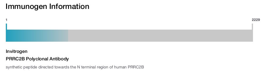 PRRC2B Polyclonal Antibody