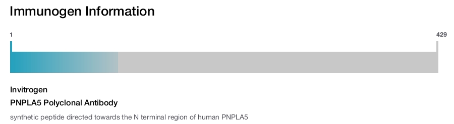 PNPLA5 Polyclonal Antibody