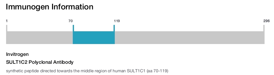 SULT1C2 Polyclonal Antibody