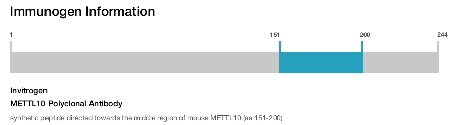 METTL10 Polyclonal Antibody