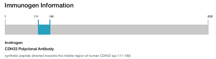 CDH22 Polyclonal Antibody