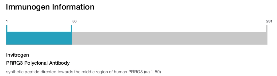 PRRG3 Polyclonal Antibody