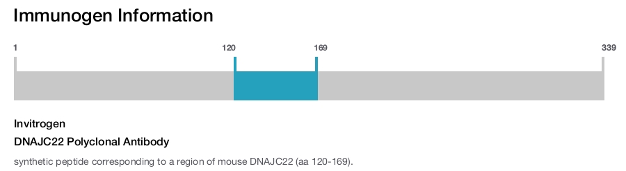DNAJC22 Polyclonal Antibody