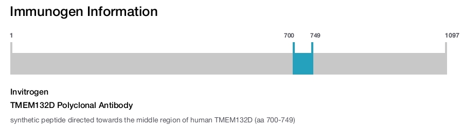 TMEM132D Polyclonal Antibody