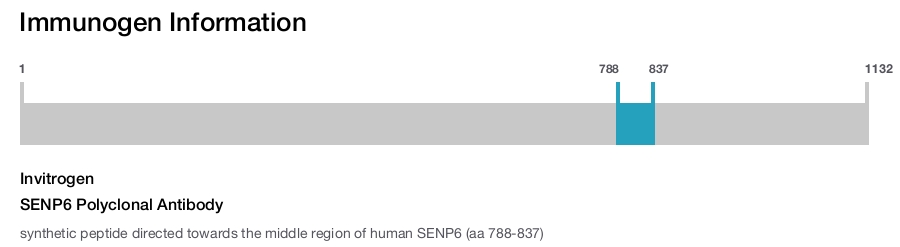 SENP6 Polyclonal Antibody