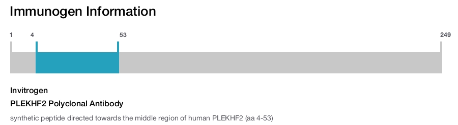 PLEKHF2 Polyclonal Antibody