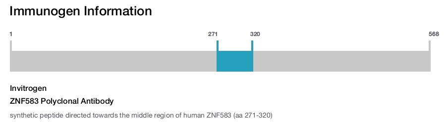 ZNF583 Polyclonal Antibody